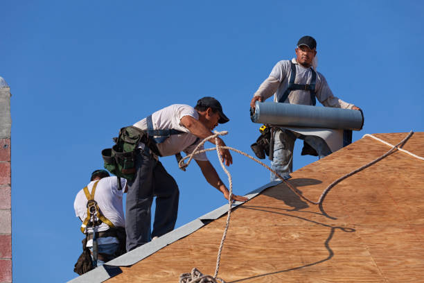 Best Commercial Roofing Services  in Solon, IA